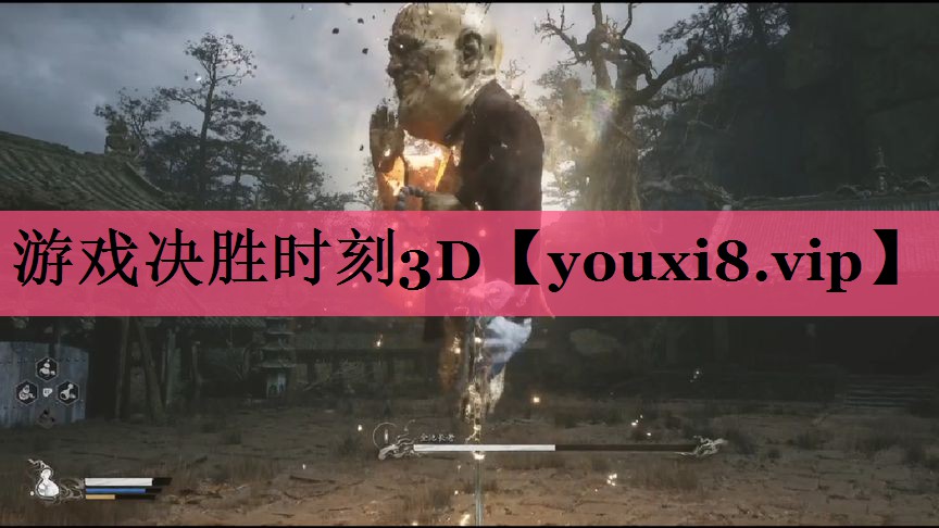 游戏决胜时刻3D