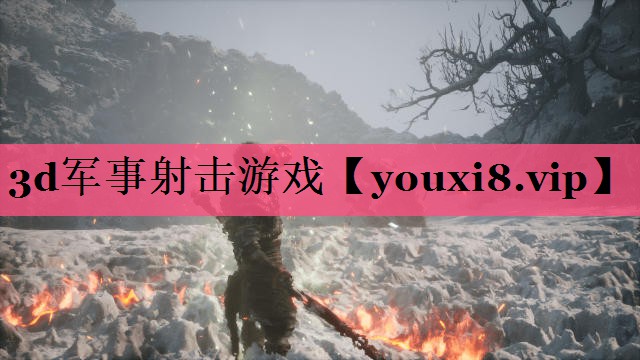 <strong>3d军事射击游戏</strong>
