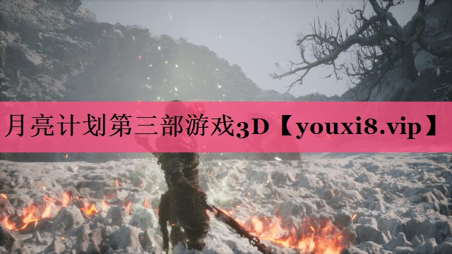 月亮计划第三部游戏3D