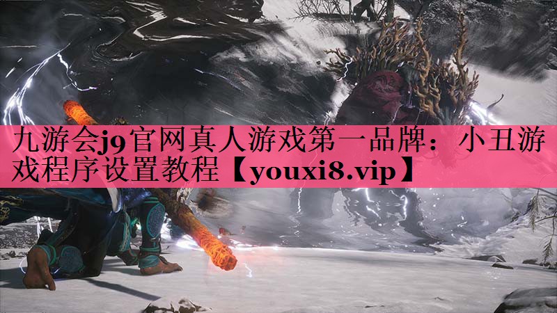小丑游戏程序设置教程